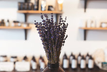 Load image into Gallery viewer, Corporate Wellness and Skincare Workshops
