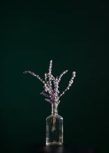Load image into Gallery viewer, Body &amp; Aromatherapy Oils
